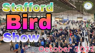 Stafford Bird Show October 2022 [upl. by Nhguaved]