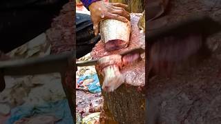 Delicious Bangladeshi Popular Tilapia Fish Cutting Skills [upl. by Eckart595]