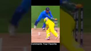 Dhoni stumping cricket shortsfeed msdhoni [upl. by Esinad]