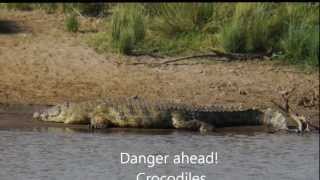 The Great Migration Crossing River Mara Kenya [upl. by Hamforrd210]