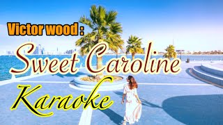 Sweet Carolinebest ofVictor Woodkaraoke channel [upl. by Rez]