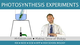 Photosynthesis Experiments starch leaf and pond weed  GCSE Biology 91 [upl. by Clovah]