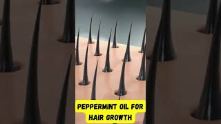 Peppermint oil for Hair Growth [upl. by Airbas]