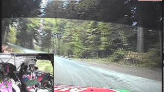 Onboard Böhm  Becker Suzuki S1600 Wechselland Rallye SP 8 [upl. by Bergstein]