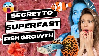 The Secret to Superfast Fish Growth Tubifex Worms Explained [upl. by Kirven]