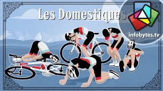 The Tour De France Explained in Animation [upl. by Etessil]