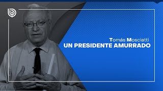 Comentario de Tomás Mosciatti Un presidente amurrado [upl. by Suiradel]