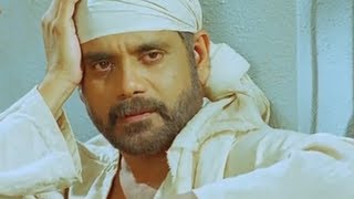 Shirdi Sai Movie Scenes  Nagarjuna feeds a hungry dog  Srikanth MM Keeravani [upl. by Knutson]