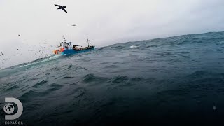 La baja producción en la pesca de cangrejos  Pesca Mortal  Discovery en español [upl. by Melisenda]