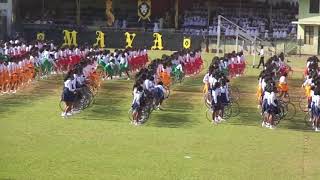 2019 Mahamaya Girls college Annual Sports Meet Drill Display [upl. by Sophia890]