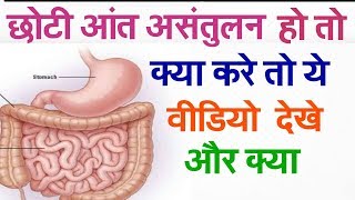 small intestinesmall intestine meridian by Dr Gaurav Anand [upl. by Wilmette605]