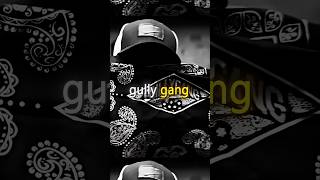 Gully Gang sub se hard parivaar 💯💥  divine divinenewsong divinesong gullygang rap shorts [upl. by England]