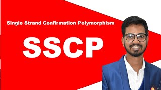 Single Strand Conformation Polymorphism  SSCP  SSCP Marker [upl. by Wehner]