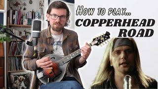 How to play Copperhead Road by Steve Earle  Mandolin Lesson Beginner amp Intermediate [upl. by Luapnoj]