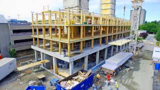 Innovation in Mass Timber Construction [upl. by Lihka402]