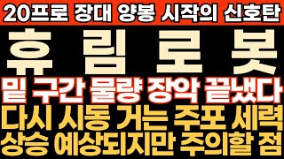 휴림로봇 주가전망20 장대 양봉 시작의 신호탄 밑구간 물량 장악 끝냈다 다시 시동 거는 주포 세력 상승 예상되지만 주의할 점 최프로 [upl. by Eimaraj]