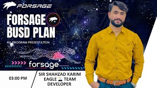 Forsage Busd Complete Plan By Sir Shahzad Karim Forsage in Pakistan [upl. by Tak621]