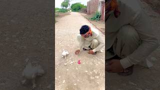 Logon ne bache ko mara hwa samje ke chode diya mane bacha liya choze ko youtubeshorts shortvideo [upl. by Peers774]