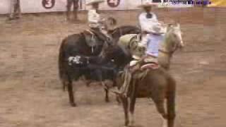 13 dia nacional charro 2008 decharros [upl. by O'Donovan]