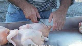 Poultry Processing Part 2 [upl. by Tillman609]