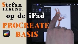 Tekenen op de iPad in Procreate Basis uitleg [upl. by Shig]