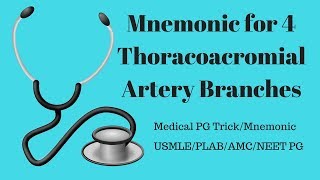 Thoracoacromial Artery Branches Mnemonic [upl. by Yclek]