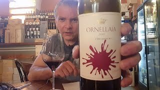 0453  Vinho Ornellaia 2020 vinho vino wine [upl. by Mixam7]