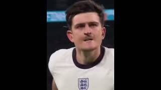 Dier Buyer Skibidi Harry Maguire [upl. by Ellebasi]