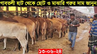 130624 গাবতলী হাট থেকে ছোট ও মাঝারি সাইজের গরুর দাম জানুন 2024 Gabtoli gorur haat [upl. by Samella]