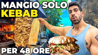 MANGIO SOLO KEBAB PER 48 ORE A ISTANBUL [upl. by Waldo961]