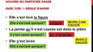 Laccord du participe passé des verbes pronominaux [upl. by Zelle]