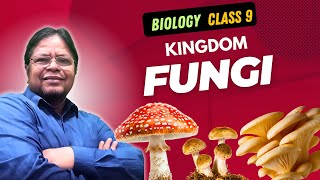 Kingdom FUNGI  BIOLOGY Life Science  Class 9 WBBSE Syllabus  Lecture by Dr Khurshid Eqbal [upl. by Sefton]