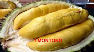 10 DURIAN TERBAIK DI INDONESIA [upl. by Ayouqes]