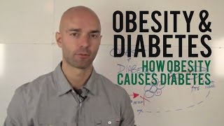 Obesity and Diabetes  How Obesity Causes Diabetes [upl. by Aihcila]