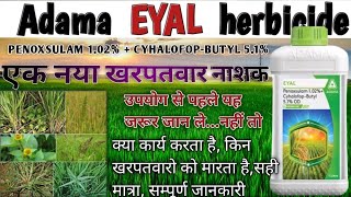 Adama Eyal herbicide  Eyal kharpatwar nasak  penoxsulam  Cyhalofopbutyl  नया खरपतवार नाशक [upl. by Wanyen353]