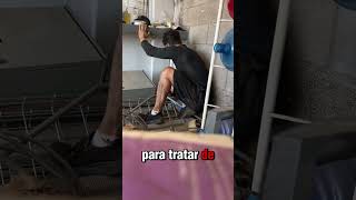 Perrito quedo atascado destacar viralvideo datoscuriosos follow dog [upl. by Lilly]