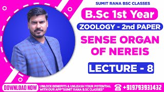 Lt08 Sense Organ Of Nereis Unit  1  Zoology 2nd Paper  BSc 1st Year [upl. by Nooj735]