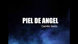 PIEL DE ANGEL  Camilo Sesto Letra [upl. by Erda632]