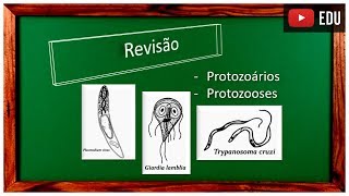 Revisão Protozoários e Protozooses [upl. by Dlaner]