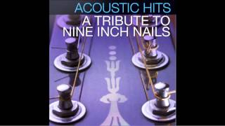 Nine Inch Nails quotRingfingerquot Acoustic Hits Cover Full Song [upl. by Aleb]