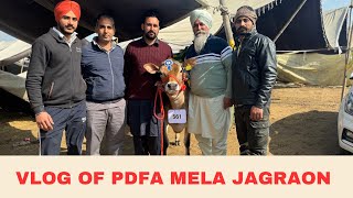 VLOG OF PDFA MELA JAGRAON  AULAKH DIARY FARM  RAMPURA PHUL  BATHINDA [upl. by Arrad]