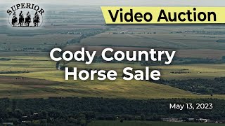 Cody Country Horse Sale [upl. by Dyob]