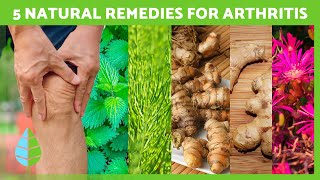 5 Powerful Plants for ARTHRITIS SYMPTOMS 🌿✅ Reduce Inflammation amp Stiffness [upl. by Eira]