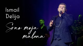 Ismail Delija amp orkestar Borka Radivojevića  Srno moja malena [upl. by Barnett]