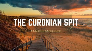 A unique Sand Dune  The Curonian Spit in lithuania [upl. by Macguiness619]