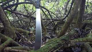 Ultimate Backpacking Machete Tramontina 18quot [upl. by Schweiker]