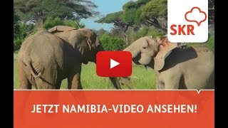 7 Gründe für Ihre Namibia Reisen [upl. by Secnarf852]