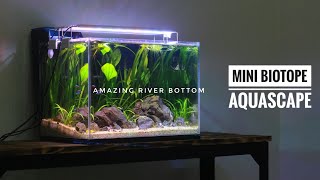 Tutorial River Bottom Aquascape  Mini Biotop Aquascape [upl. by Azaleah]