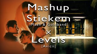 Stiekeme Levels Avicii x Maan Goldband [upl. by Daney]