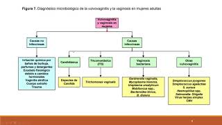 EXUDADO VAGINAL Y URETRAL PARASITOLOGIA Y MICOLOGIA [upl. by Wera]